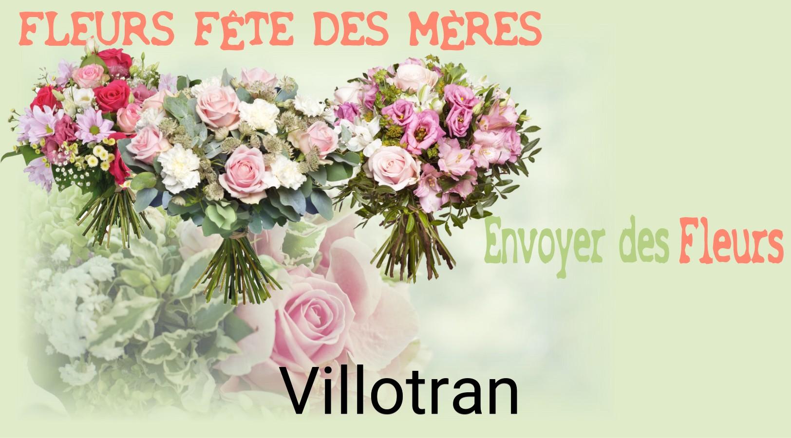 Bouquet de Fête des Mères livré à Villotran
